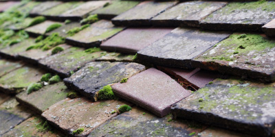 Cilycwm roof repair costs